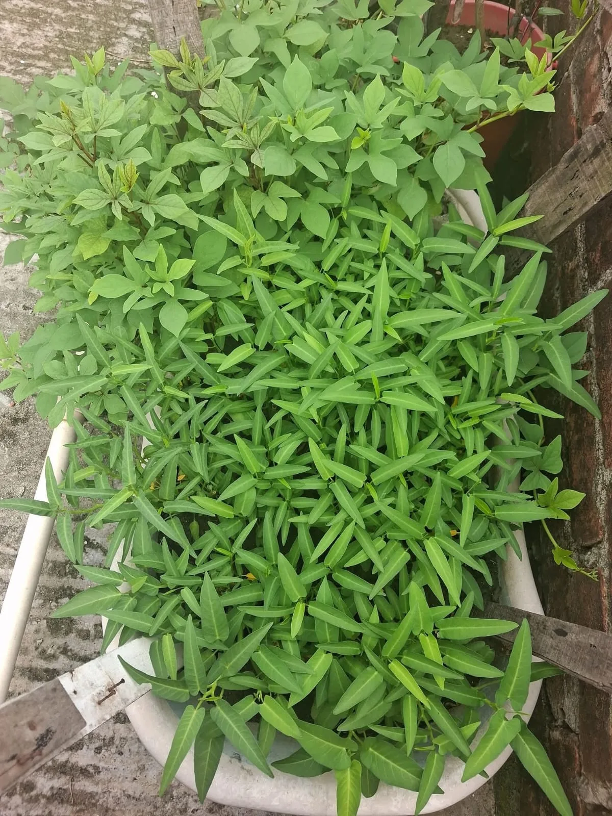Post image 1